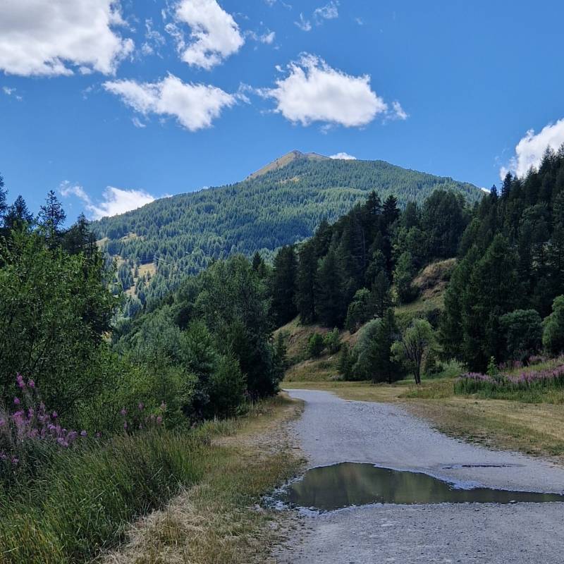 Rf strada verso plan