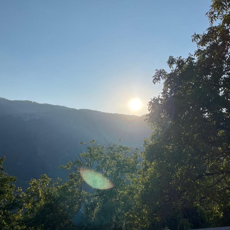 Fotosegnalazione di Trambileno
