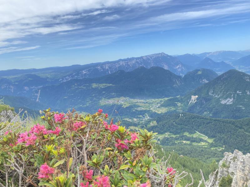 Passo del Brocon