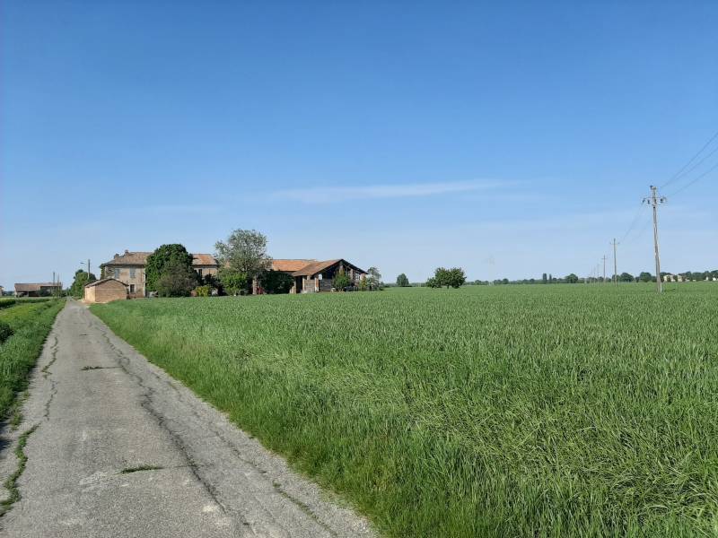 Maggio in campagna