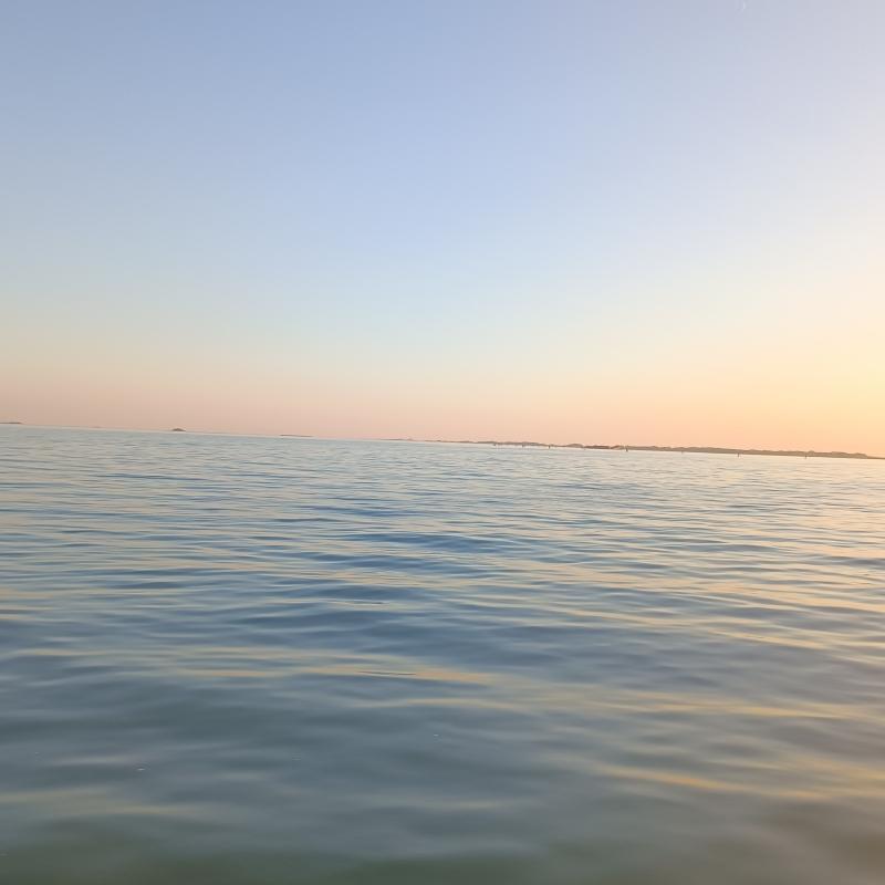 Fotosegnalazione di Giudecca