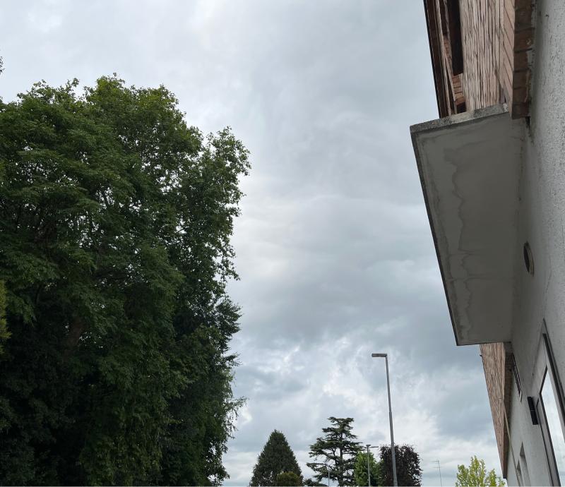 Fotosegnalazione di Noventa padovana