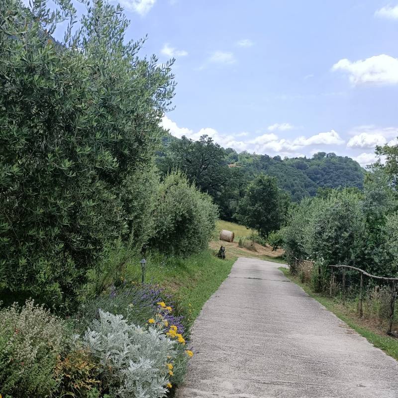 Fotosegnalazione di Belmonte castello