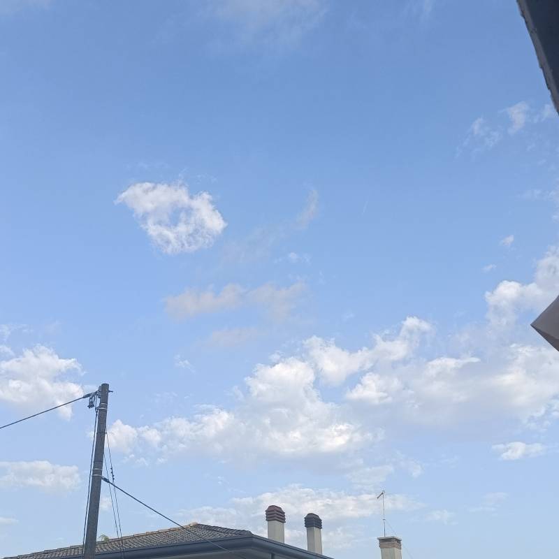 Fotosegnalazione di Campagna lupia