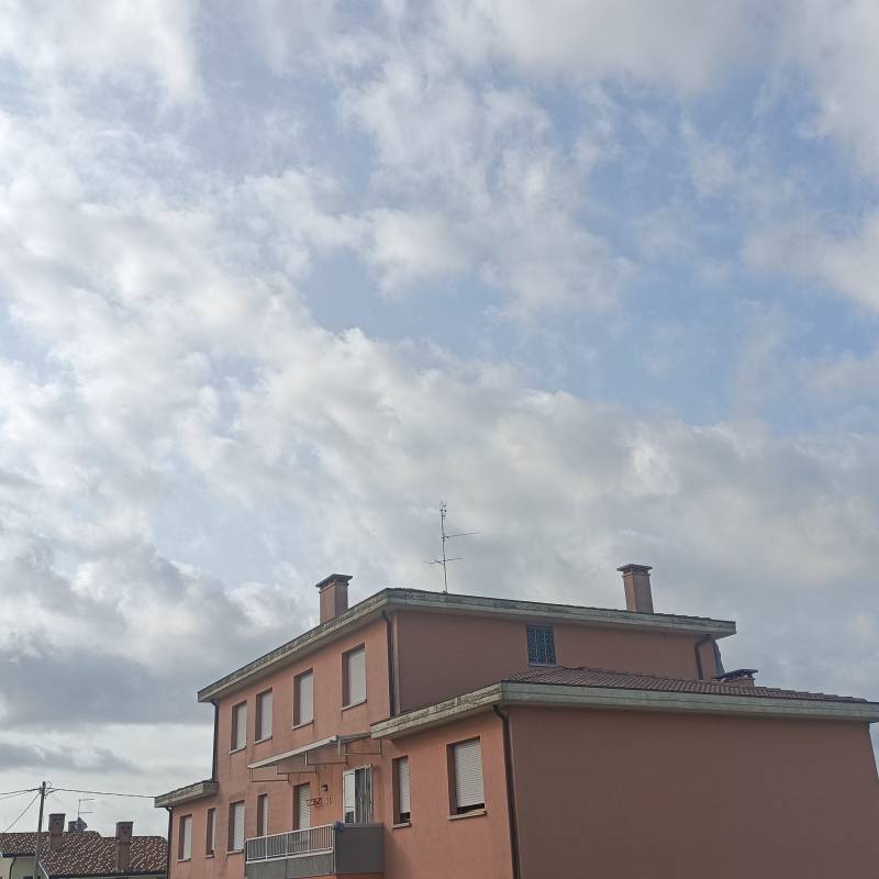 Fotosegnalazione di Campagna lupia