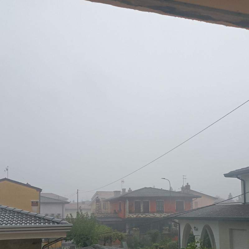 Fotosegnalazione di Campagna lupia
