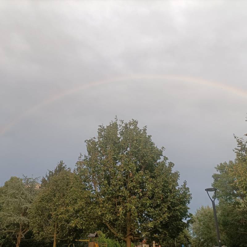 Fotosegnalazione di Campagna lupia