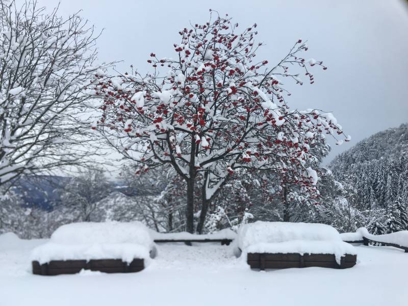 Tanta neve