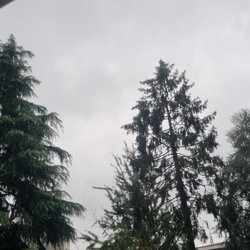 Fotosegnalazione di Milano baggio