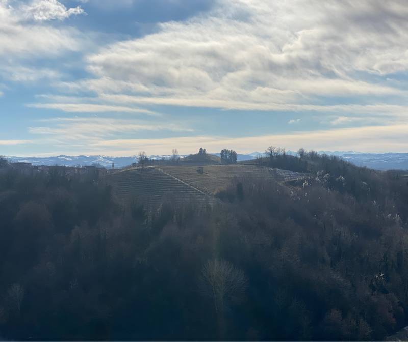 Un anticipo di inizio primavera.