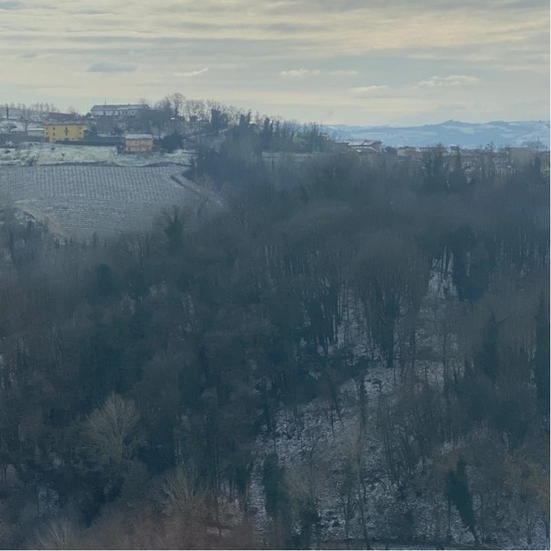 Giornata con velature e vento gelido.
