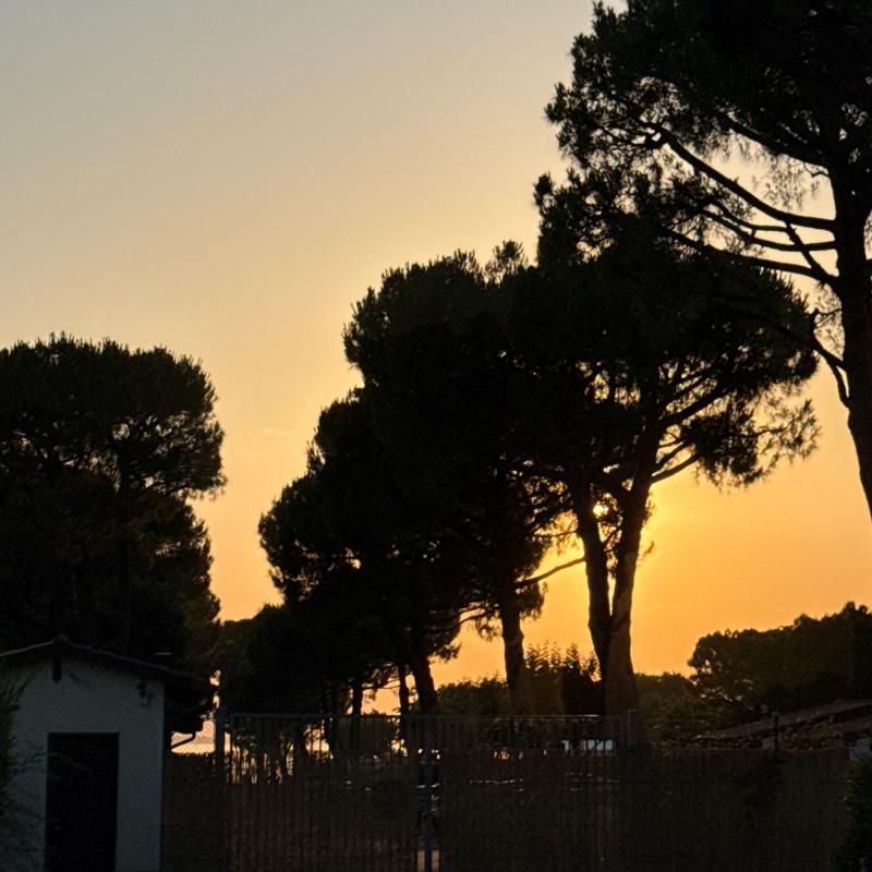 Fotosegnalazione di Castelnuovo del garda