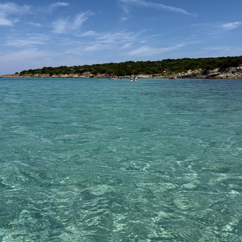 Fotosegnalazione di Golfo aranci