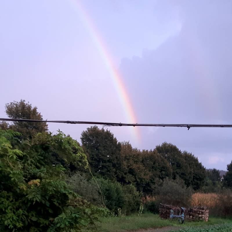 Fotosegnalazione di Montalto dora