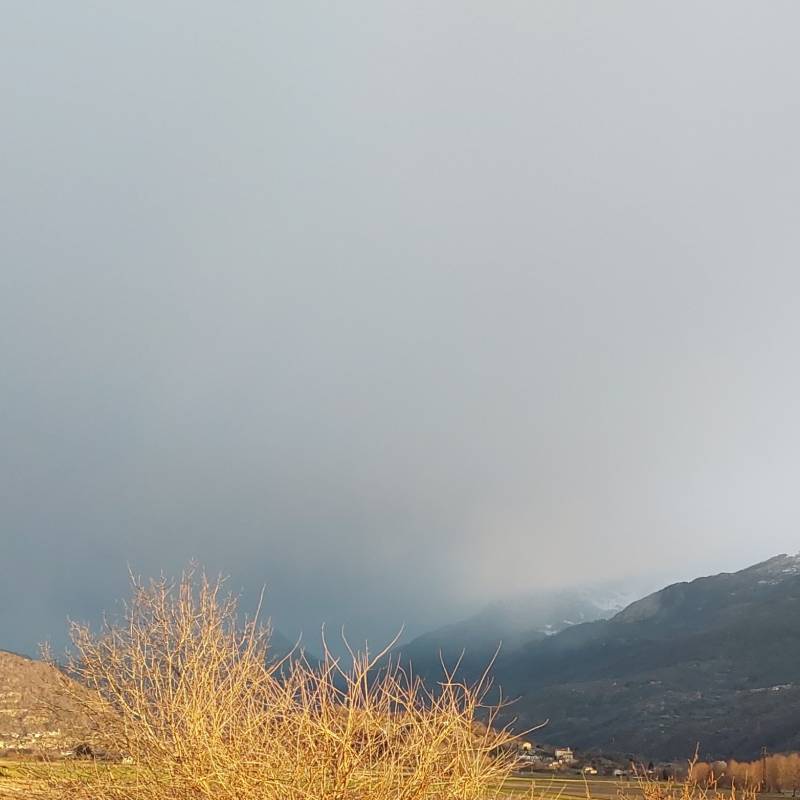 Fotosegnalazione di Montalto dora