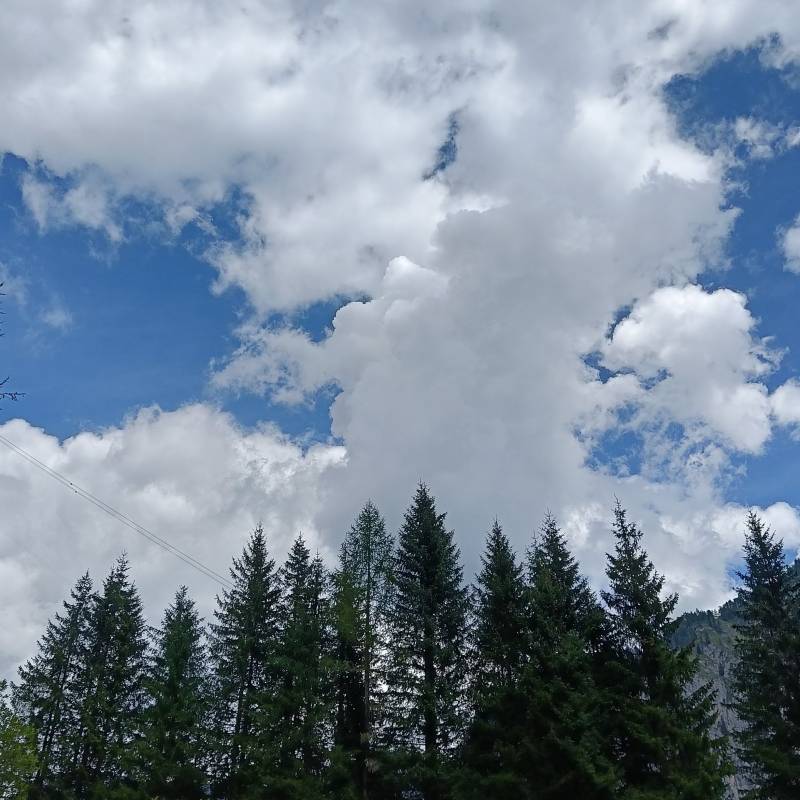 Fotosegnalazione di Malga ciapela
