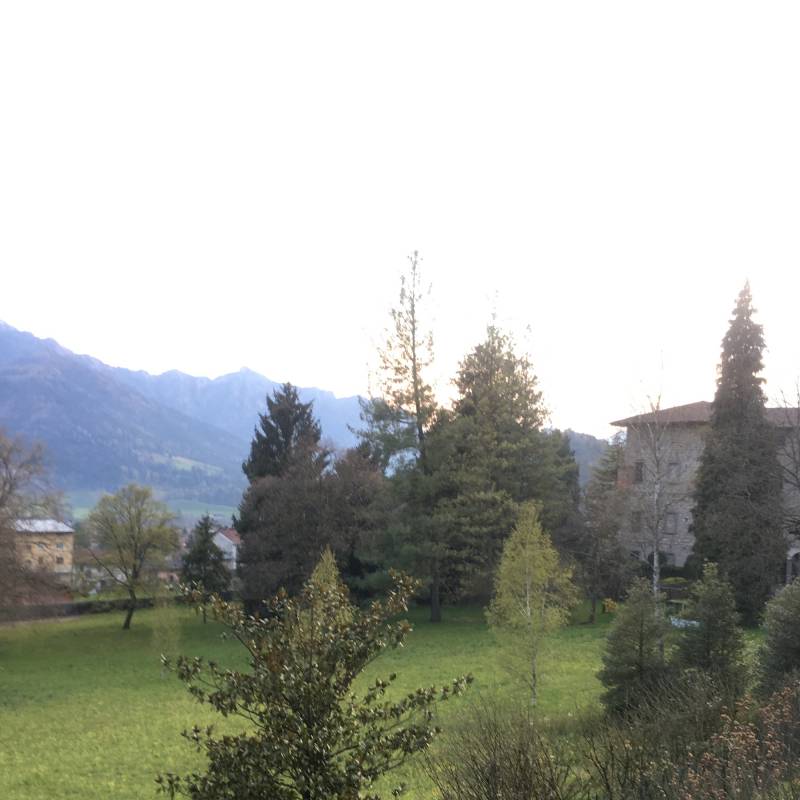 Fotosegnalazione di Clusone
