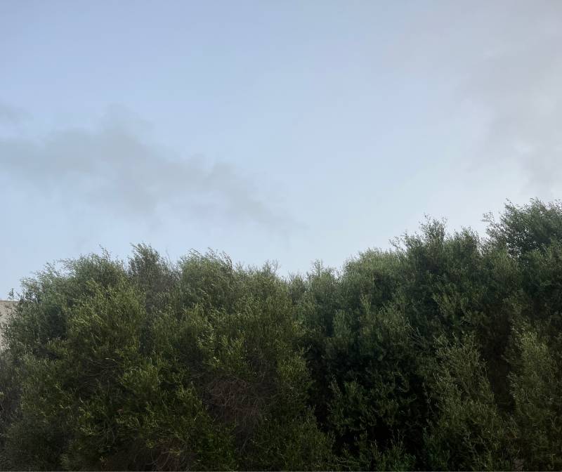 Meteo coperto non sereno come indicato