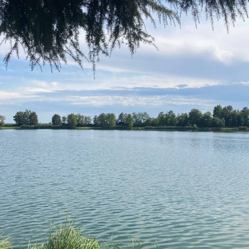 Fotosegnalazione di Salasco