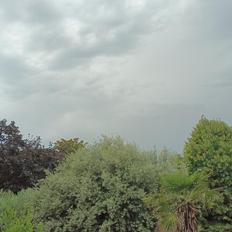 Fotosegnalazione di Cavarzere