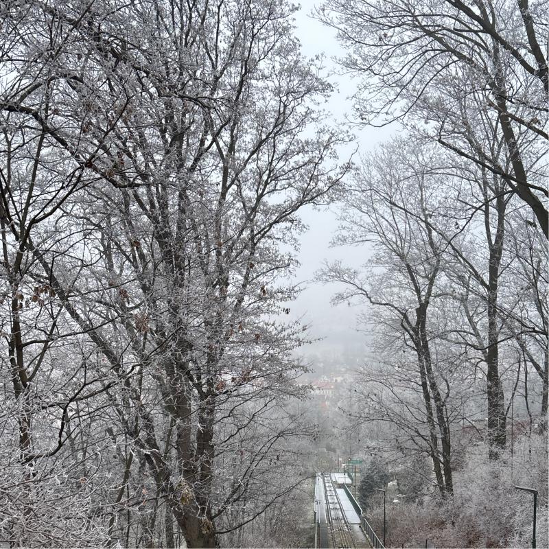 Fotosegnalazione di Ruzyn