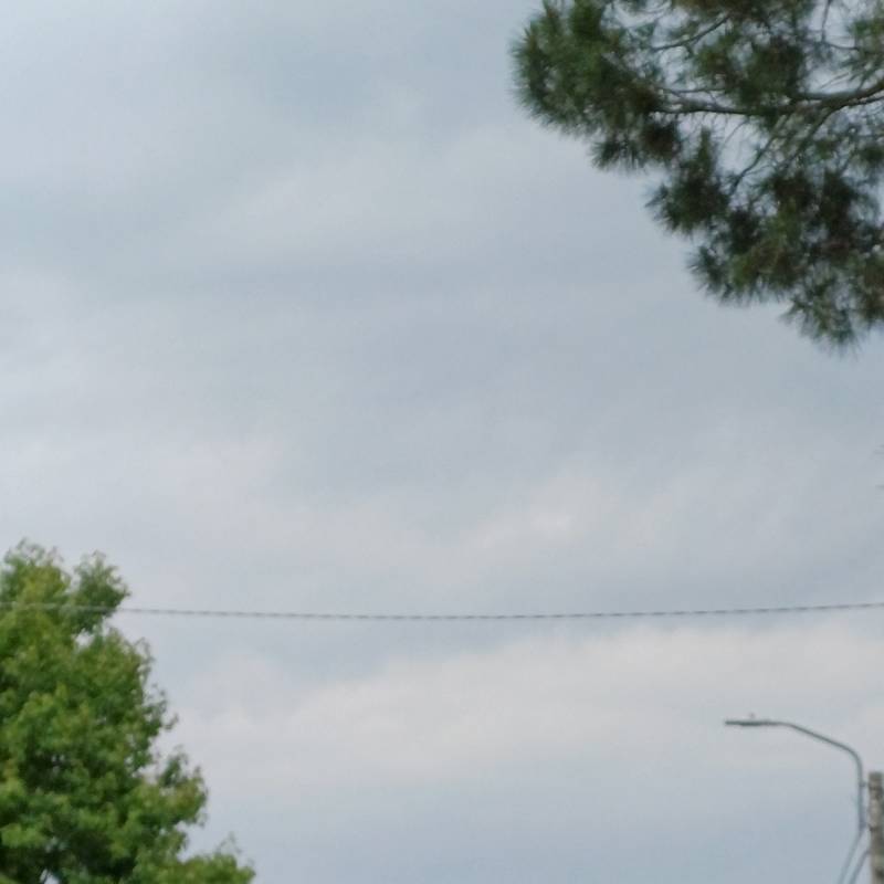 Fotosegnalazione di Lentate sul seveso