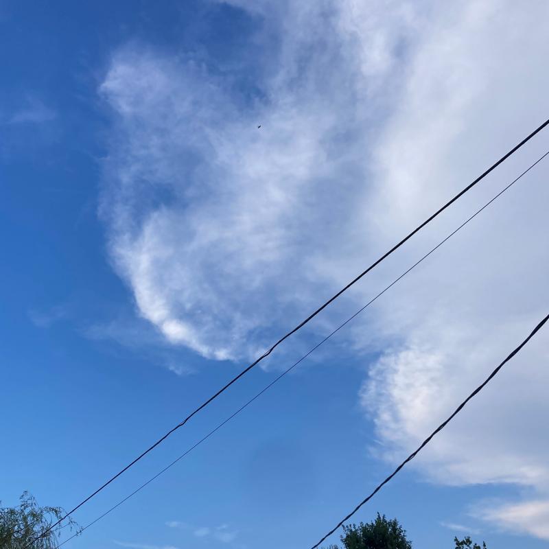 Fotosegnalazione di Cellarengo