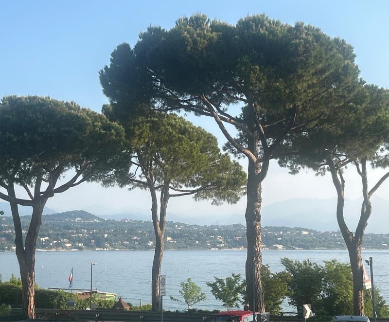 Fotosegnalazione di Desenzano del garda