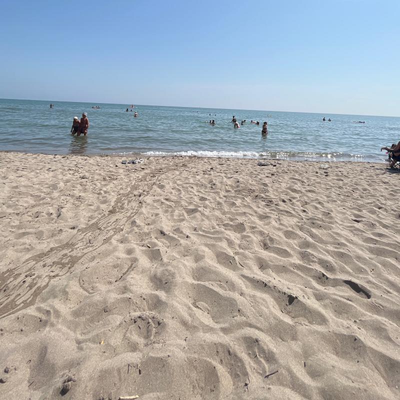 Fotosegnalazione di Rosolina
