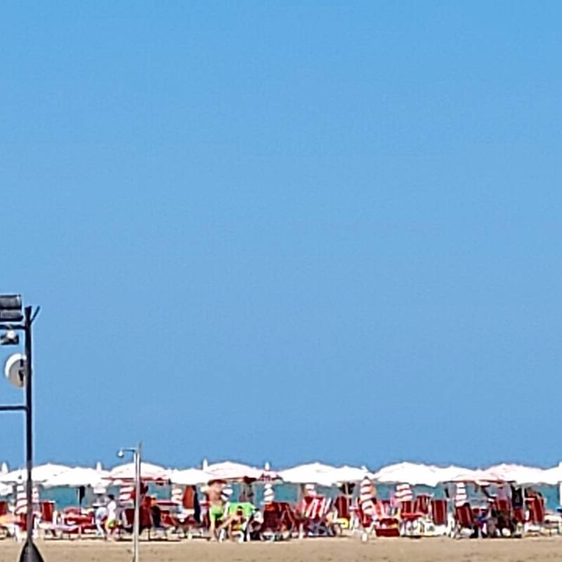 Fotosegnalazione di Rodi garganico