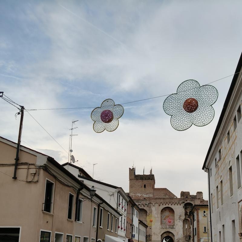 Fotosegnalazione di Cittadella