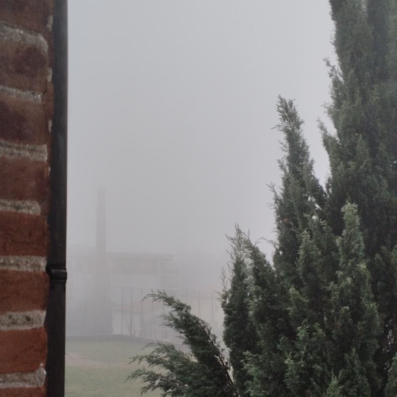 nebbia bassano ore 8