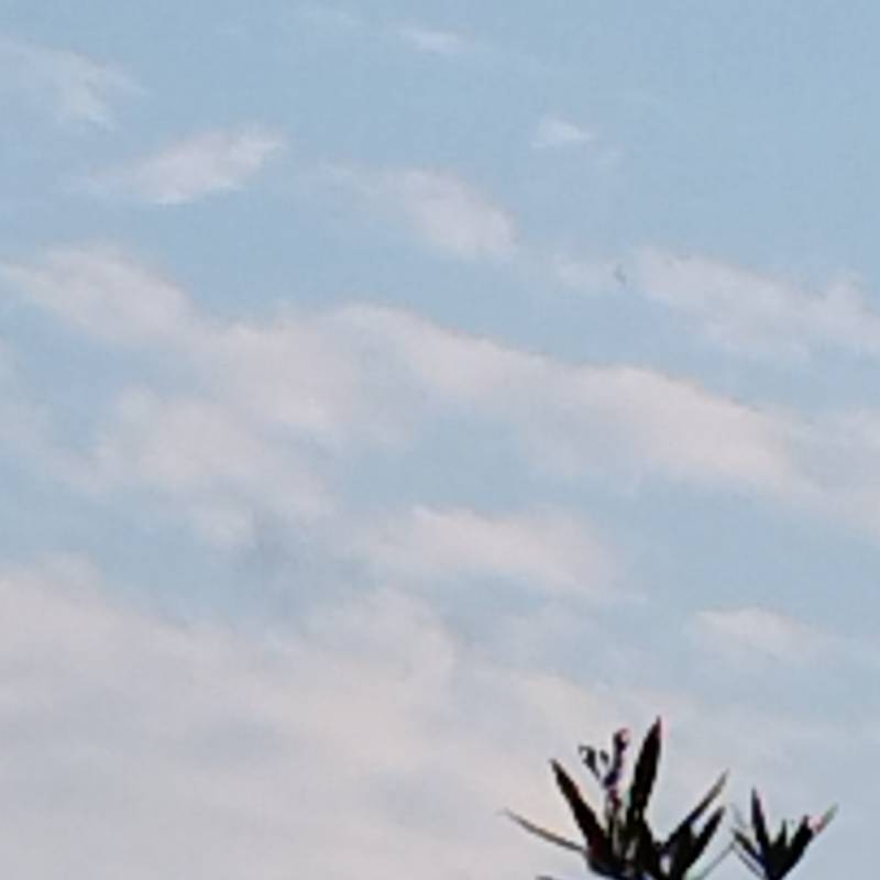 Fotosegnalazione di Peschiera del garda