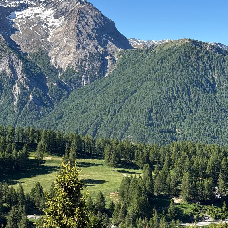 Bellissima giornata