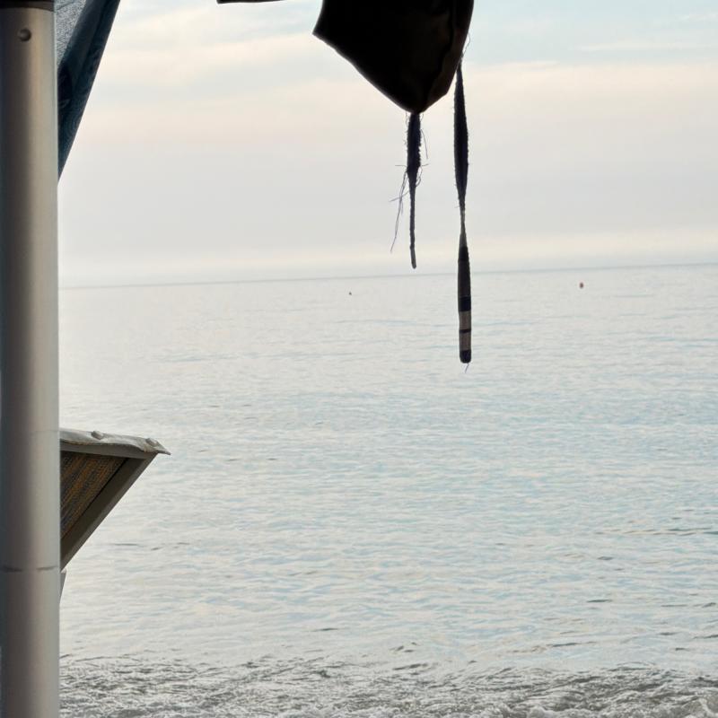 Mare