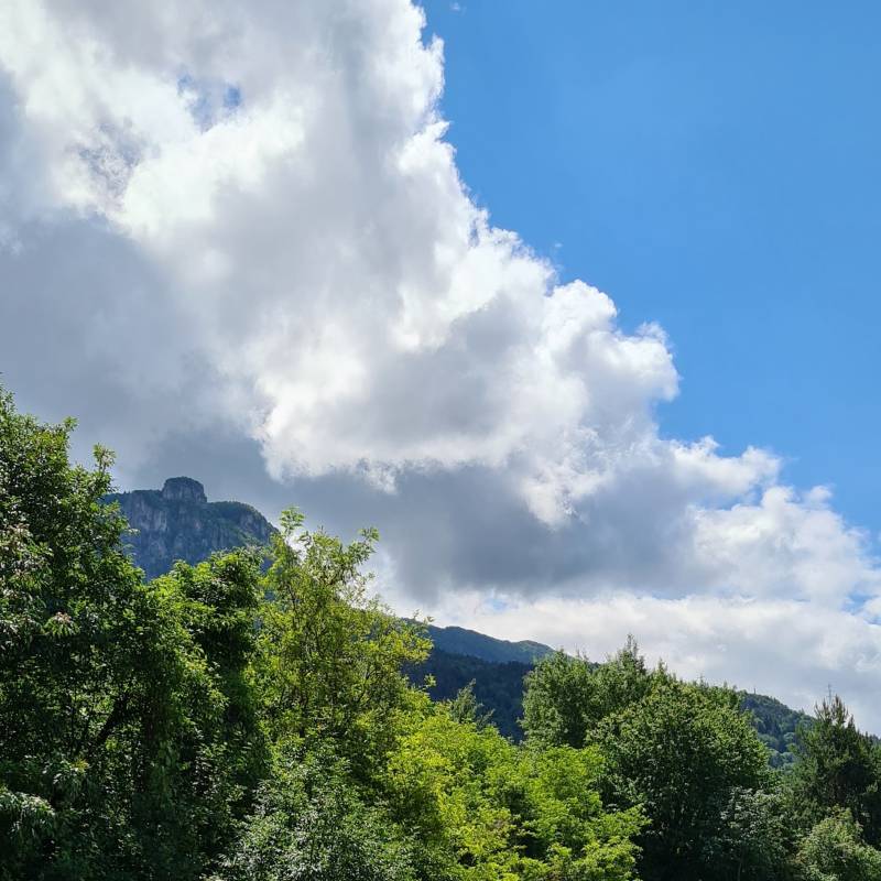 Fotosegnalazione di Trento