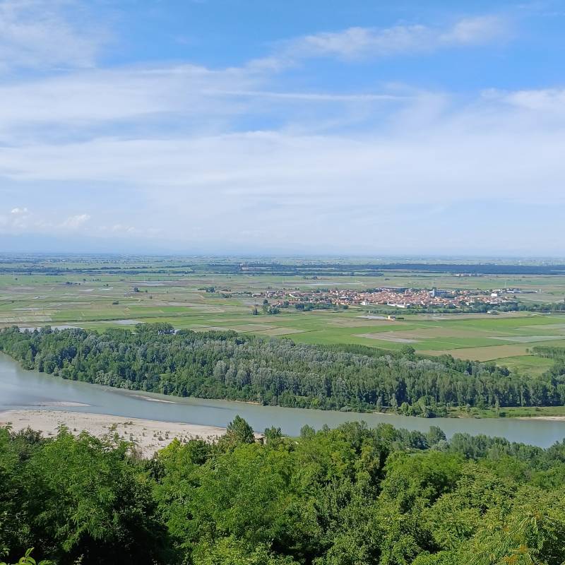Fotosegnalazione di Gabiano
