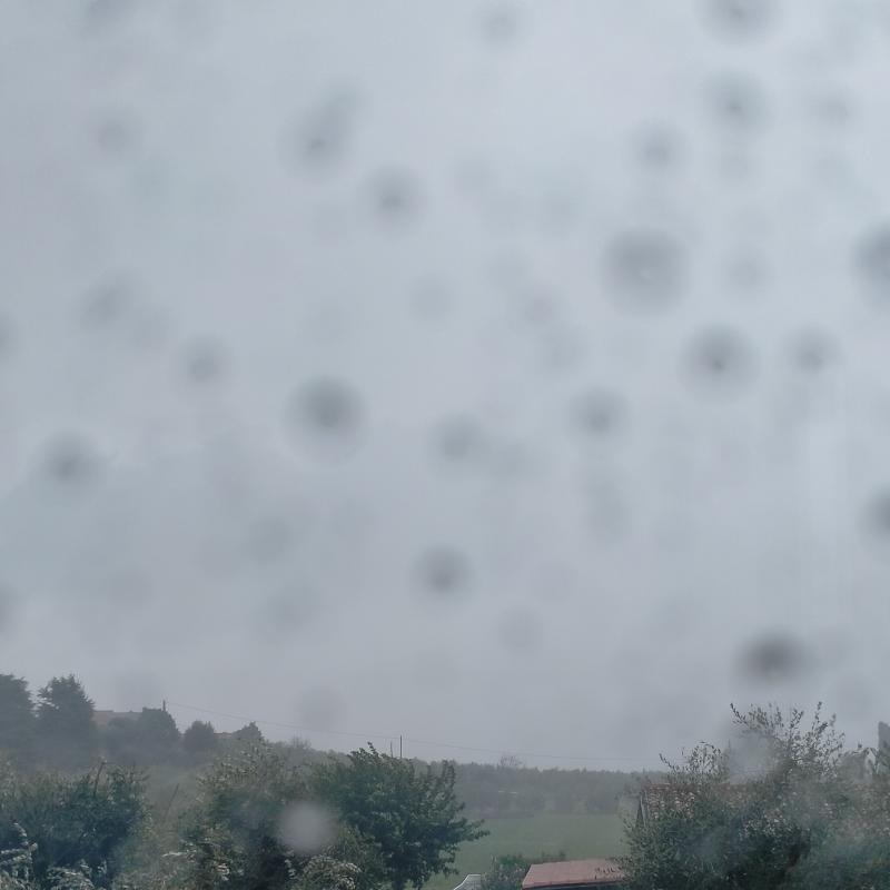 Fotosegnalazione di San felice del benaco
