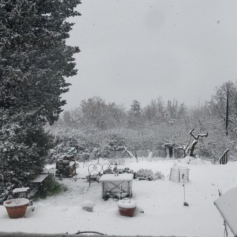 Fotosegnalazione di Greve in chianti