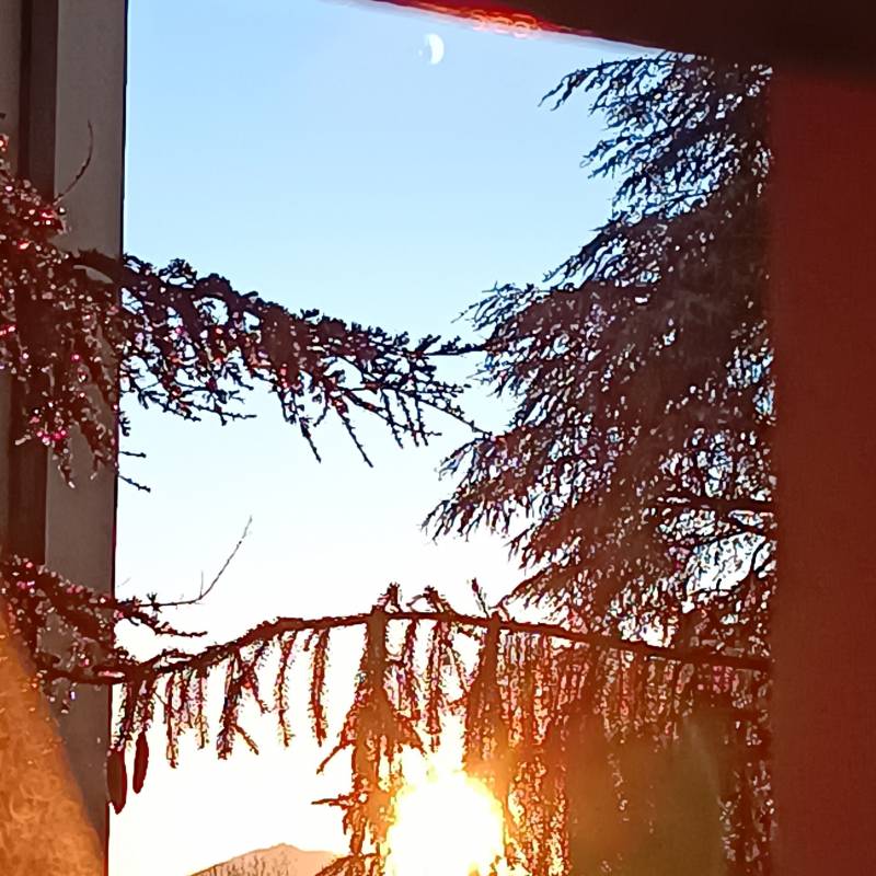 Fotosegnalazione di Padova madonna pellegrina - sant'osvaldo