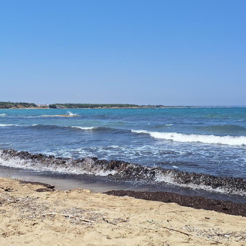 Fotosegnalazione di Brindisi aeroporto