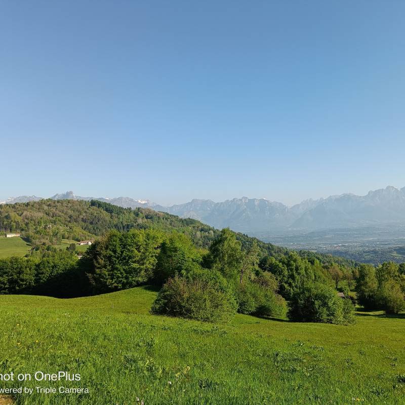 Fotosegnalazione di Mel
