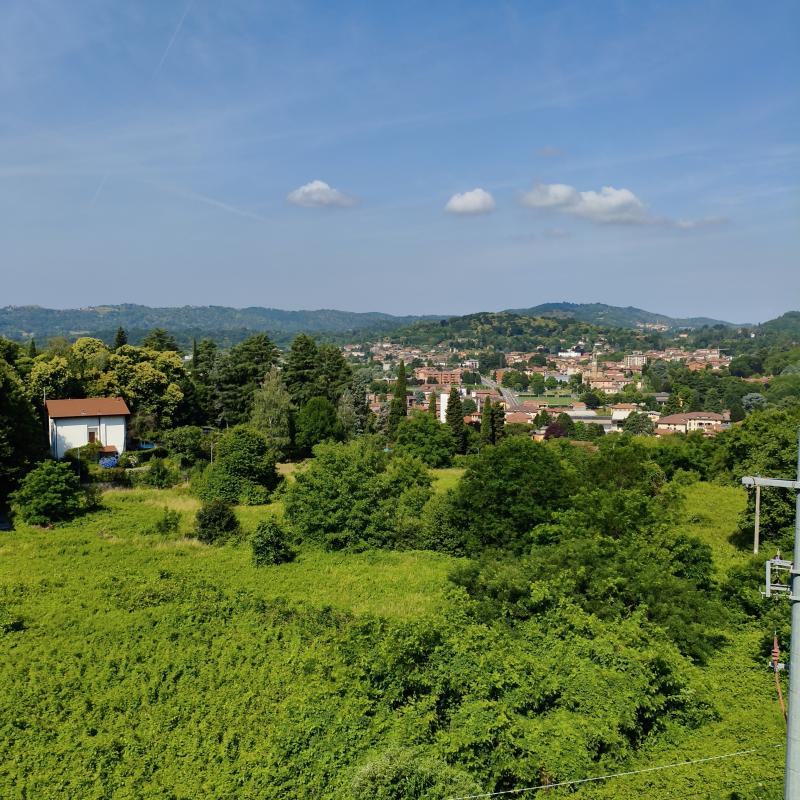 Calco alta