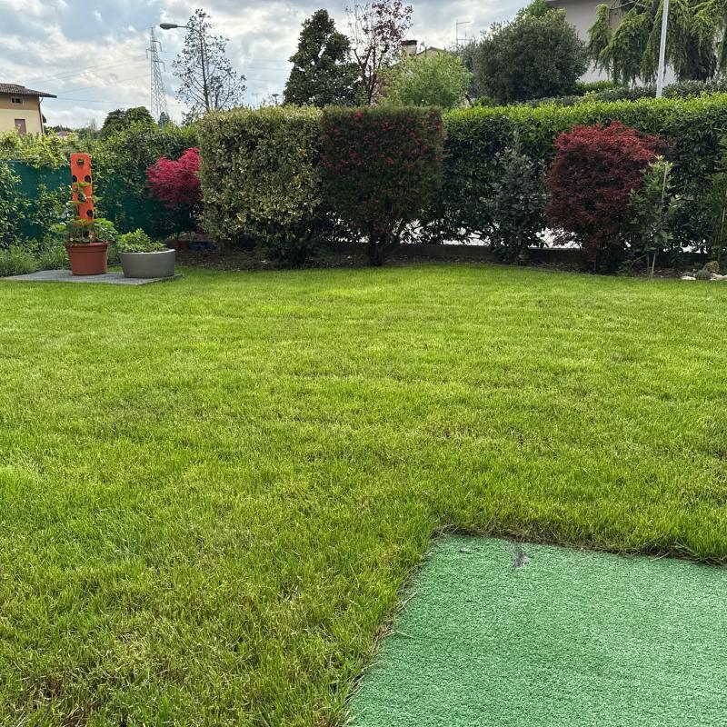 Fotosegnalazione di Colle umberto