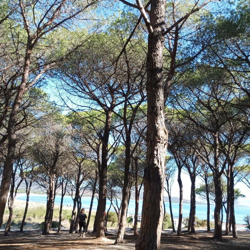 Fotosegnalazione di Budoni