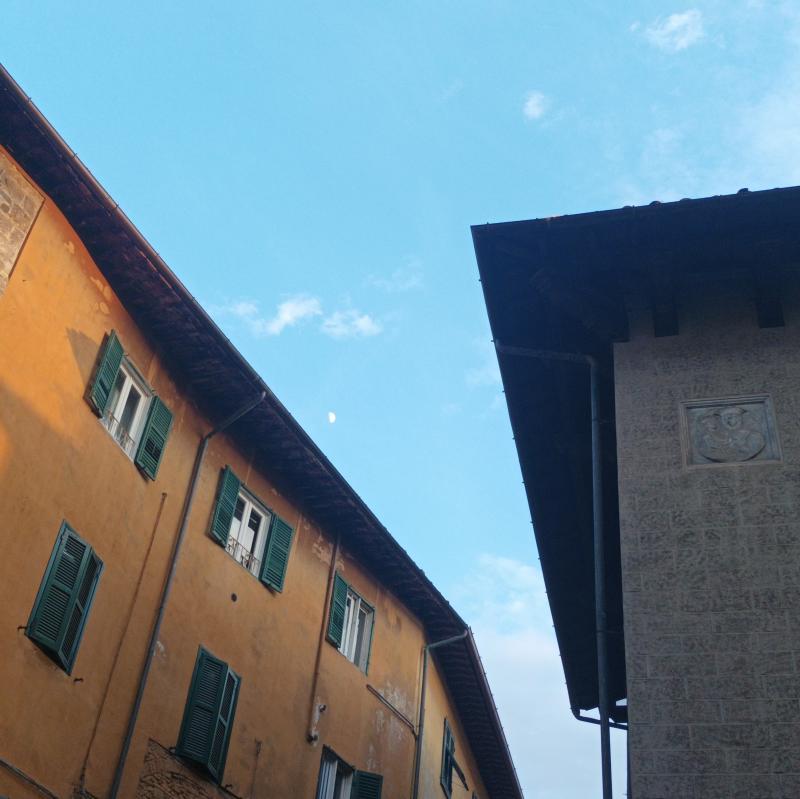 Fotosegnalazione di Pisa santa maria