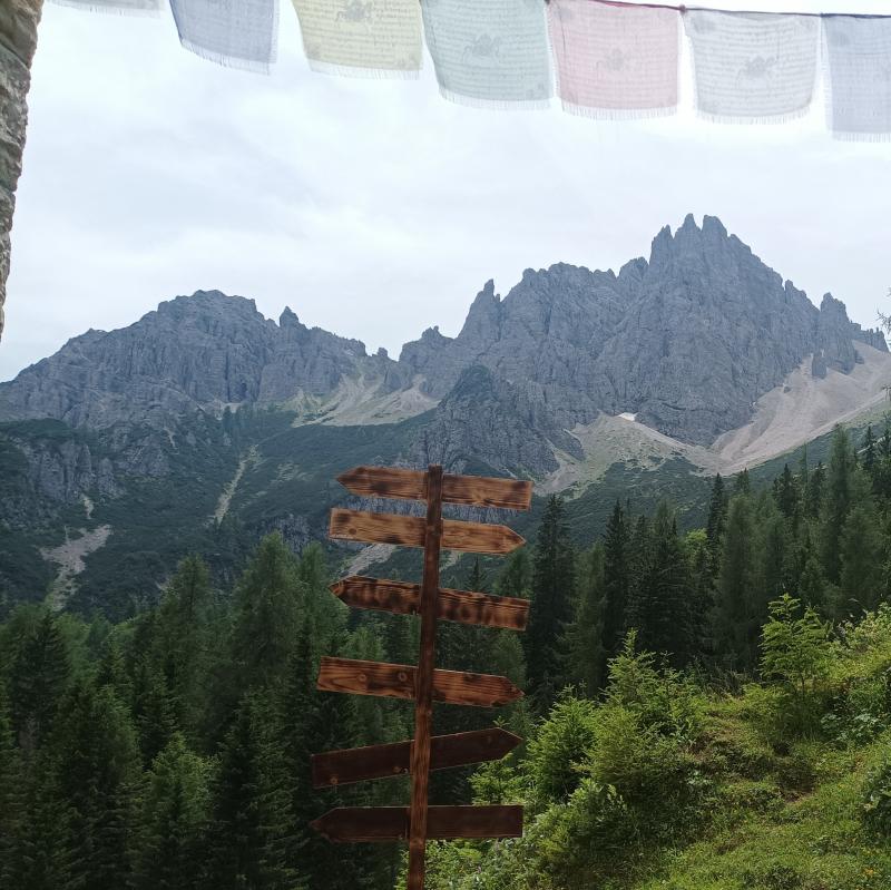 Fotosegnalazione di Forni di sopra
