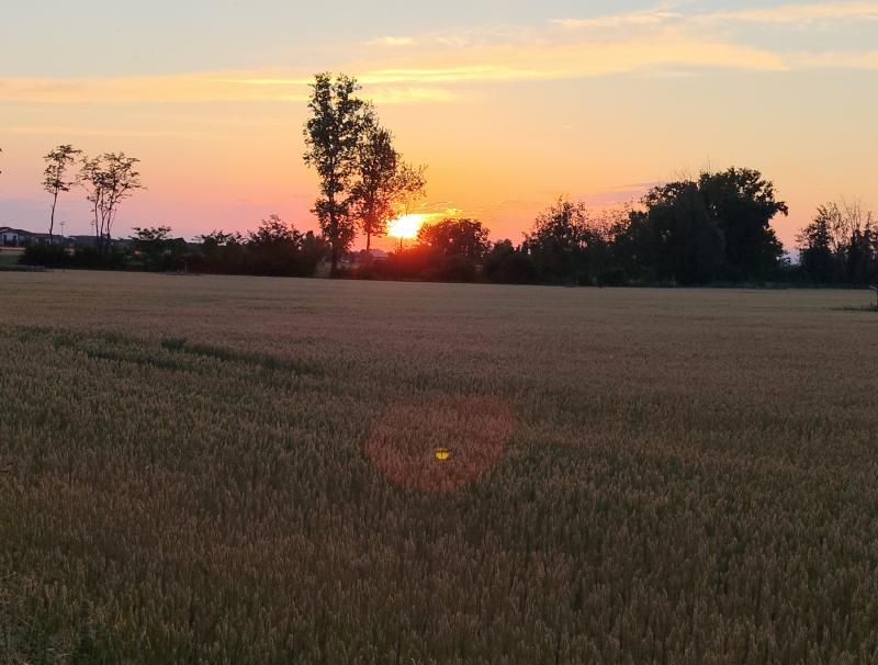 tramonto