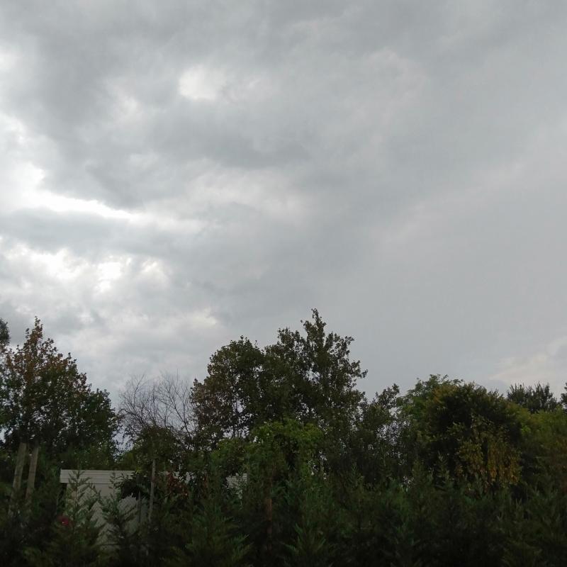 Fotosegnalazione di Padova salboro