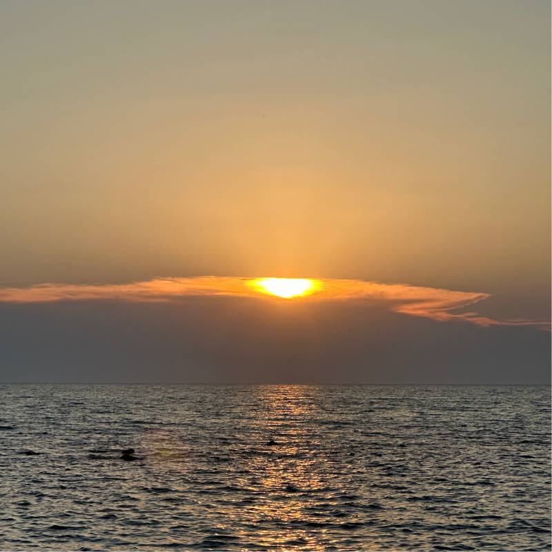 Fotosegnalazione di Marina di pisa